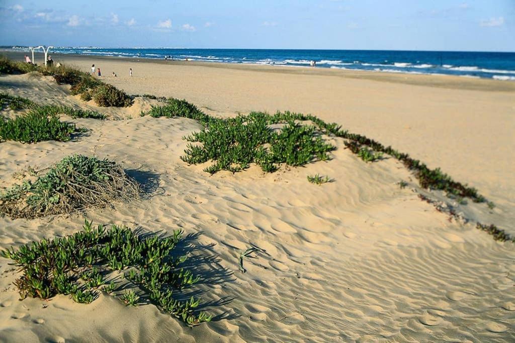 Apartamento En Playa Canet De Berenguer Canet d'En Berenguer Kültér fotó